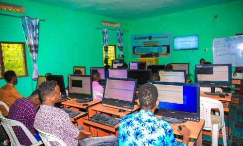 Bachelor of Information Technology